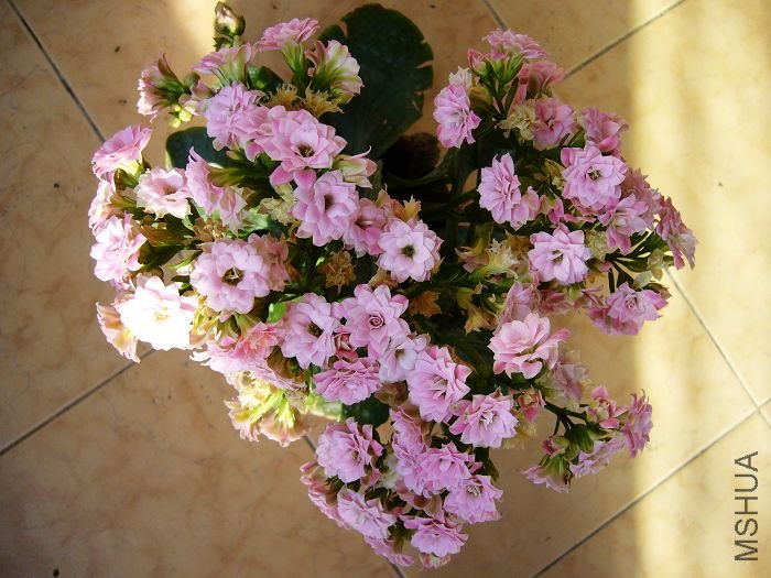 רһ��һ�����͸���