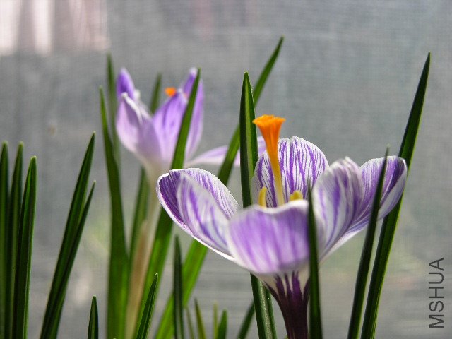 DSCN3571.JPG