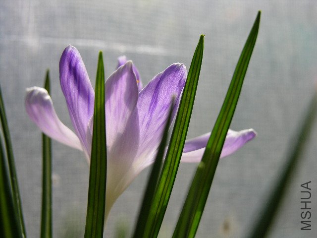 DSCN3580.JPG