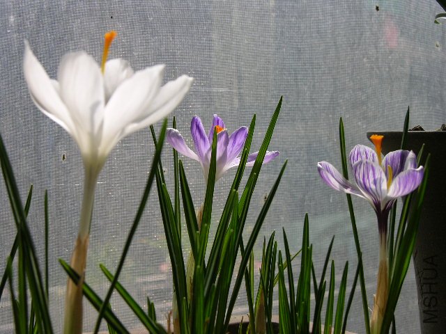 DSCN3577.JPG