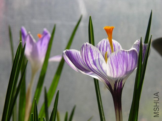 DSCN3574.JPG