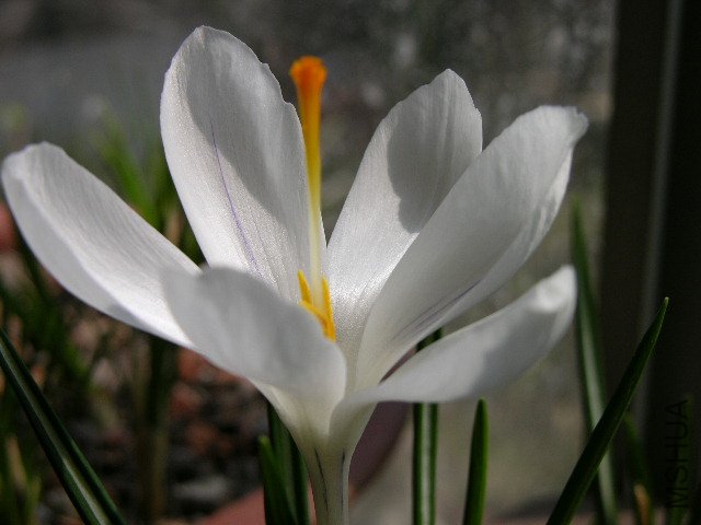 DSCN3576.JPG