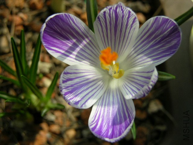 DSCN3582.JPG