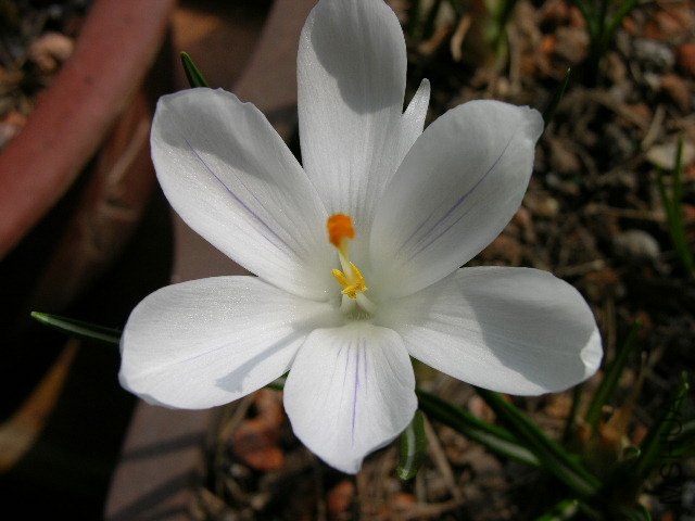 DSCN3581.JPG