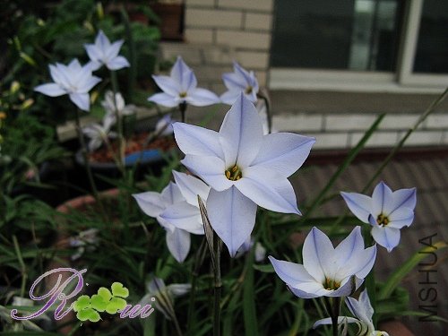 ���¡�ǳ����� 5.jpg