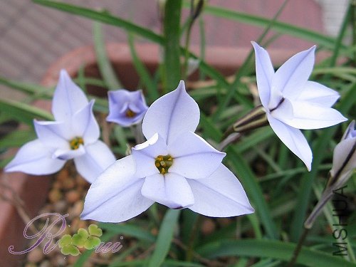 ���¡�ǳ����� 3.jpg