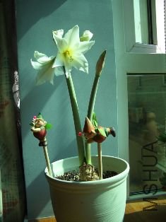 ��˭�ܸ���������ʲôƷ��?