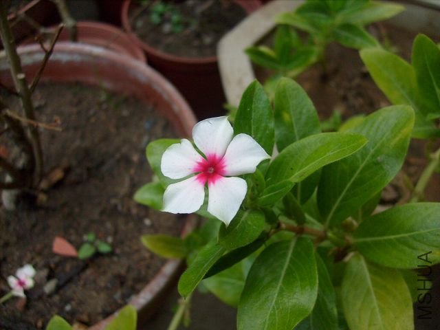 S7300859.JPG
