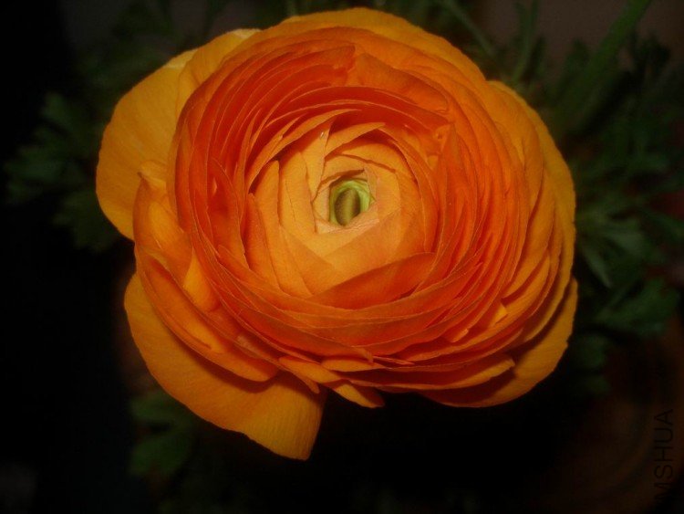 ������С ��Ƭ 018.jpg