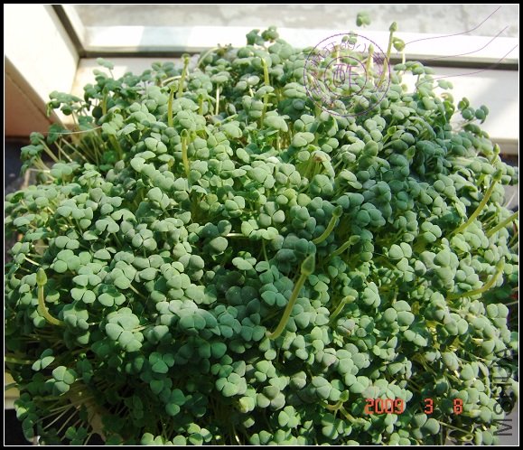 �е����ƣ�̫���ˣ�����������һ���ѿ�������