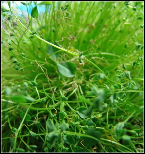 �ܶ�Ҷ�Ӷ���������֪��ʲô��Ŷ���������˼����Ժ��и���