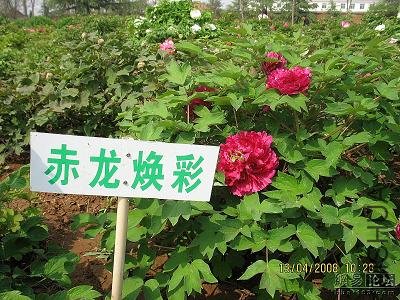 d68f6aded06b5443cdbf1aef.jpg