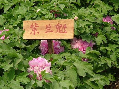 200507051450017381.jpg