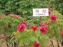 200507051450019907.jpg