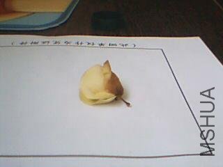 ͼƬ 016.jpg