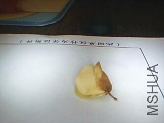 ͼƬ 017.jpg