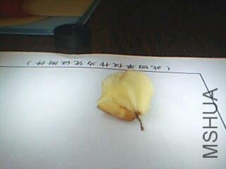 ͼƬ 018.jpg