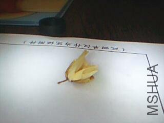 ͼƬ 019.jpg