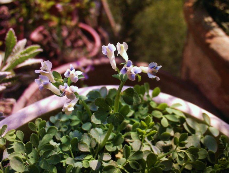 3.11 ��������