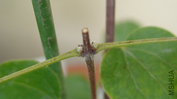 3.11��,�����10���ͳ����ı�������ѿ!