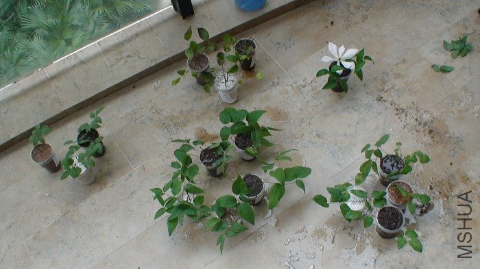 �ȿ���ȫ����