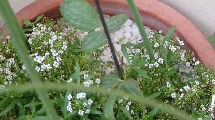 ��ʣ�������ڣ�׼�������п�ʱ׷һ�·ʣ�Ȼ��Ѹ�����һ�ڣ�ֻ��һ��ѿ��������.