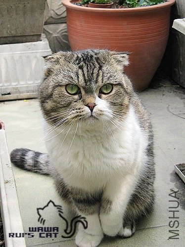 �������̣����ڿ���ѽ��