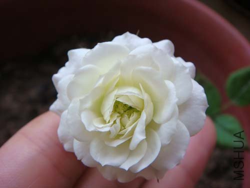 ���ǽ��������ĵ�