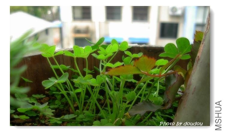 ���ڵ����ӡ�