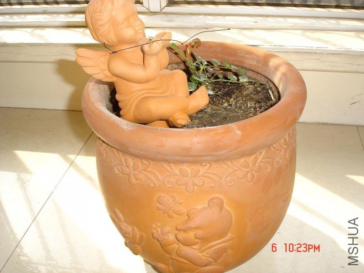 ��Ƭ0313 018.jpg