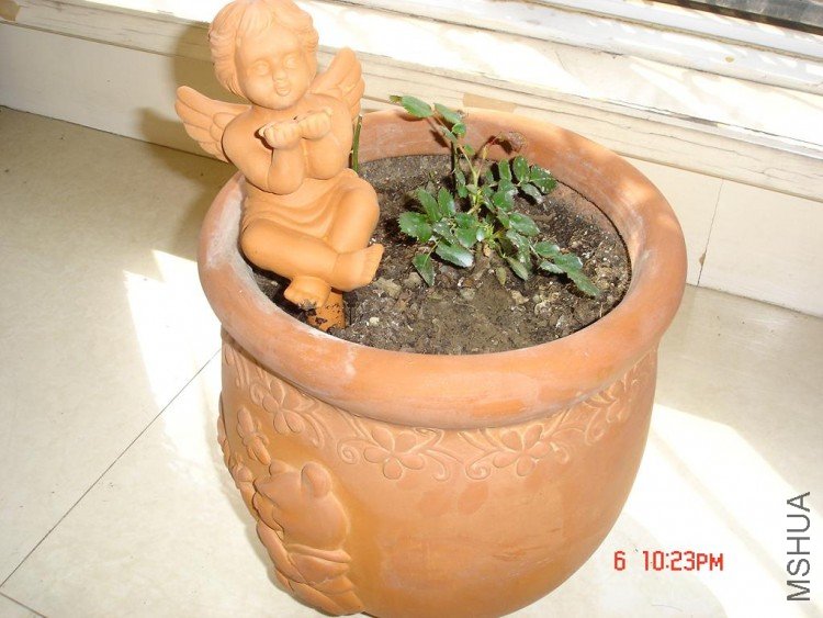 ��Ƭ0313 019.jpg