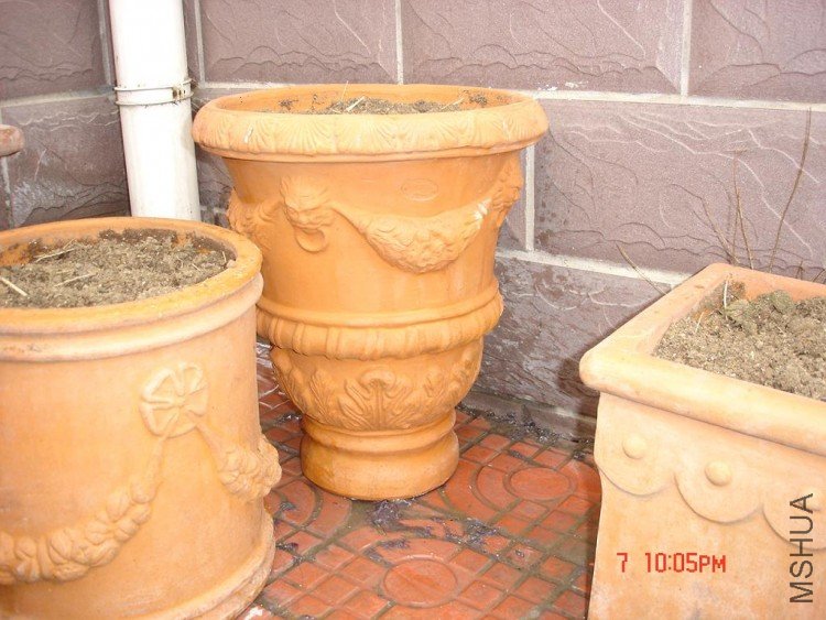 ��Ƭ0313 024.jpg