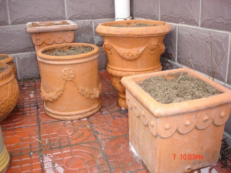 ��Ƭ0313 022.jpg