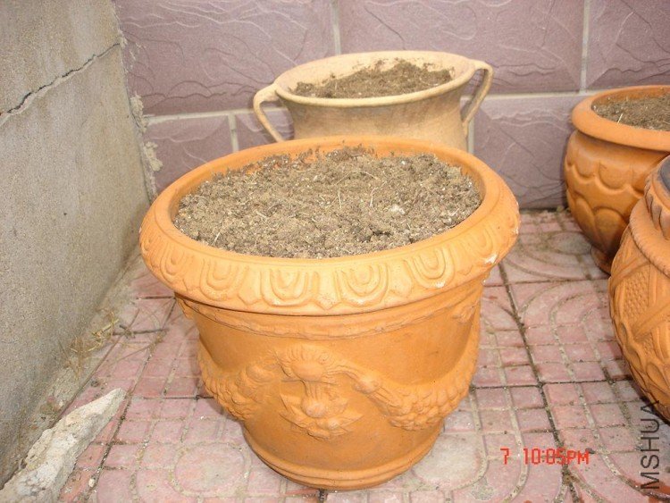 ��Ƭ0313 029.jpg