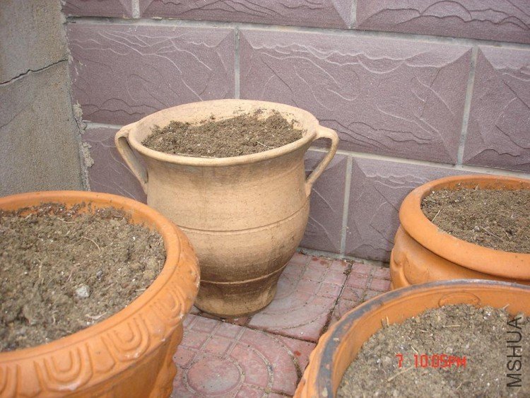 ��Ƭ0313 030.jpg