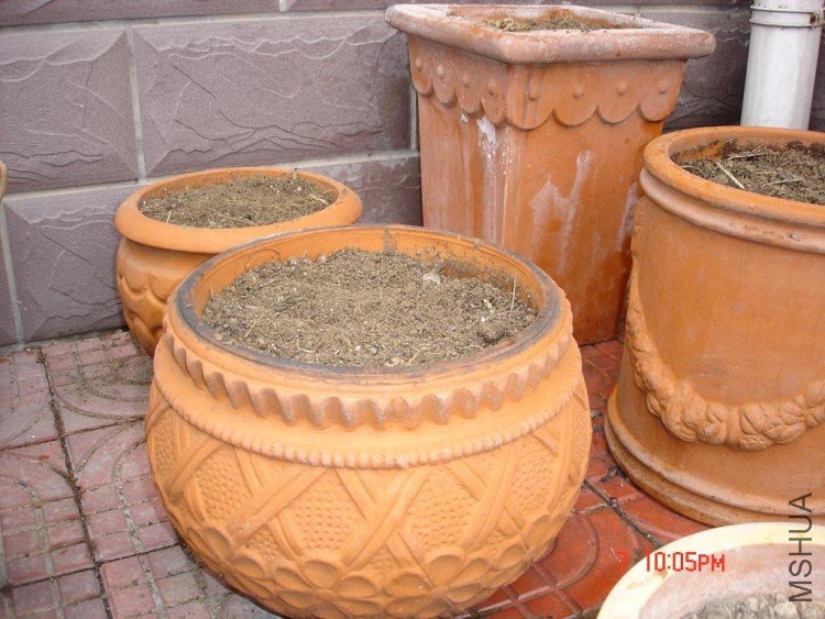 ��Ƭ0313 026.jpg