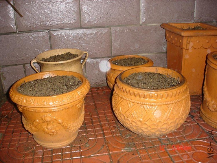 ��Ƭ0313 033.jpg