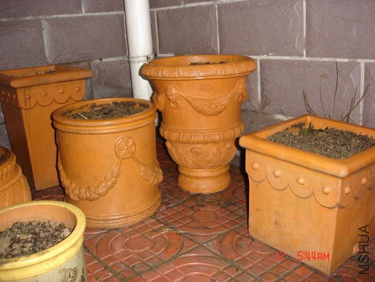 ��Ƭ0313 031.jpg