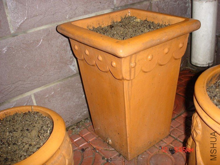 ��Ƭ0313 037.jpg