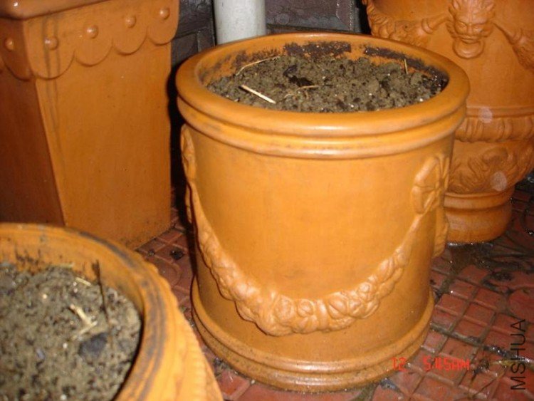 ��Ƭ0313 043.jpg