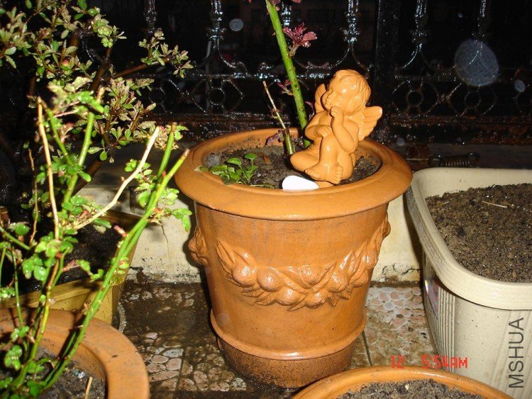 ���º����Ѿ�