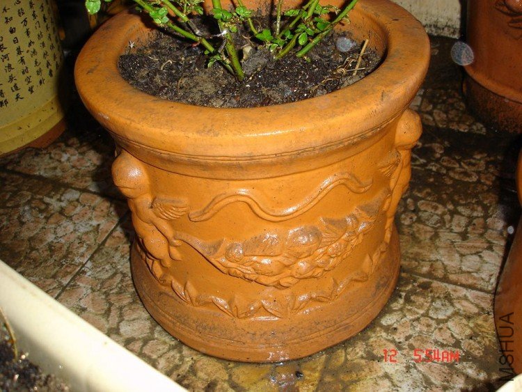 ��Ƭ0313 050.jpg