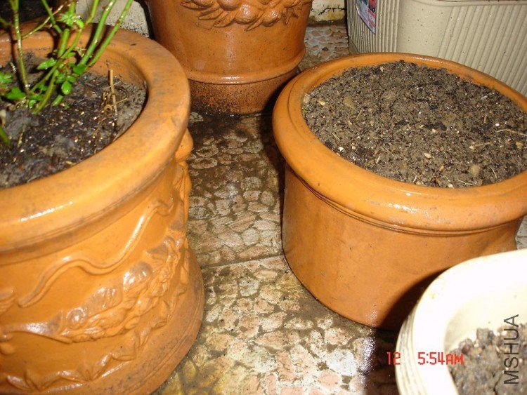 ��Ƭ0313 051.jpg