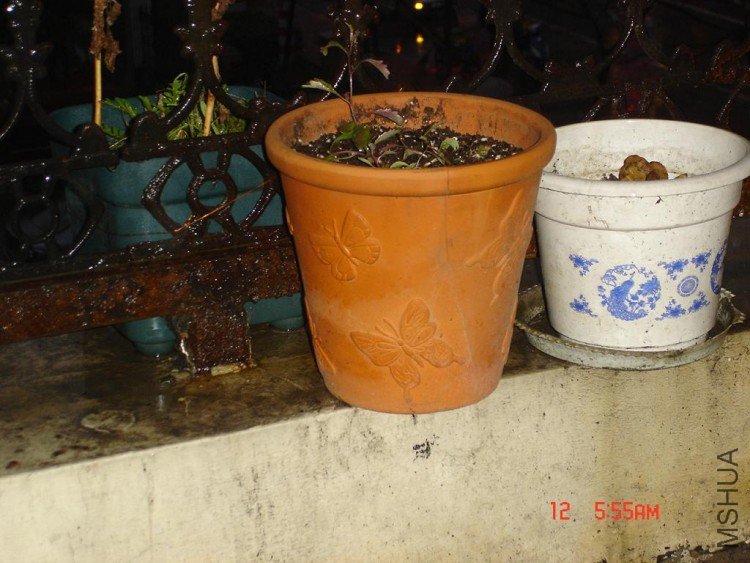 ��Ƭ0313 052.jpg