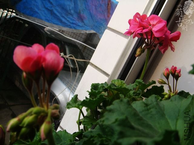 ���з� (1).jpg