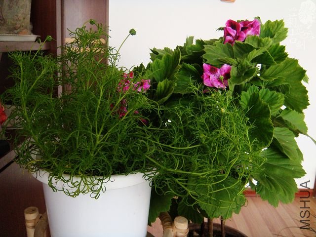 ���жž��� (6).jpg