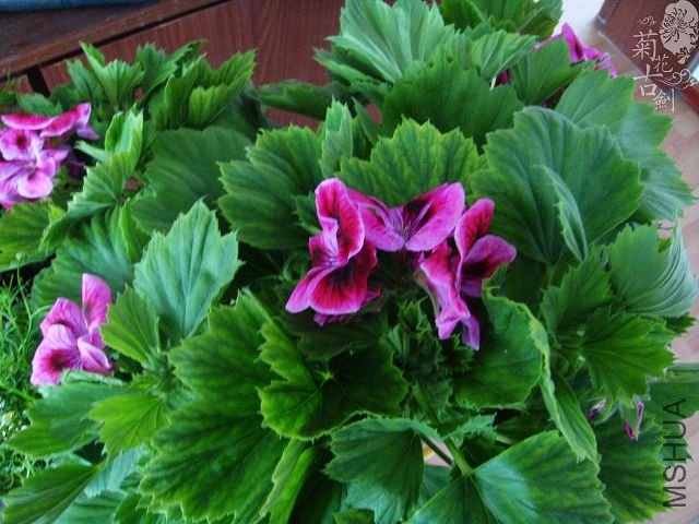 ���жž��� (1).jpg