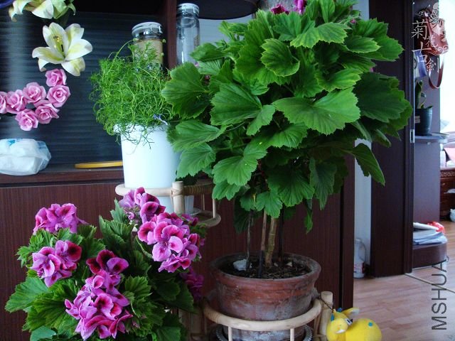 ���жž��� (2).jpg