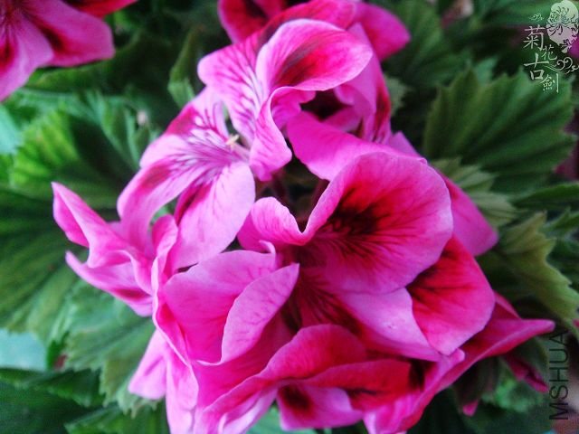 ���жž��� (4).jpg