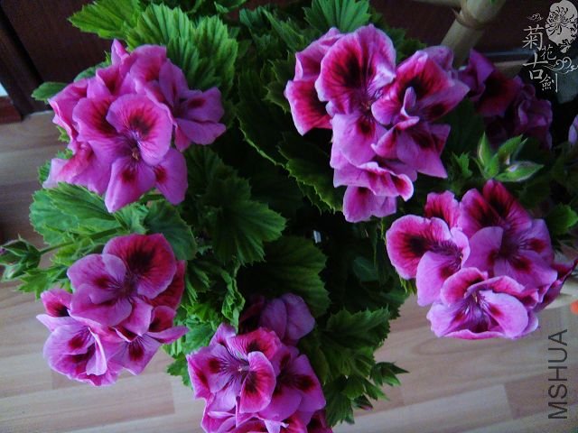 ���жž��� (8).jpg